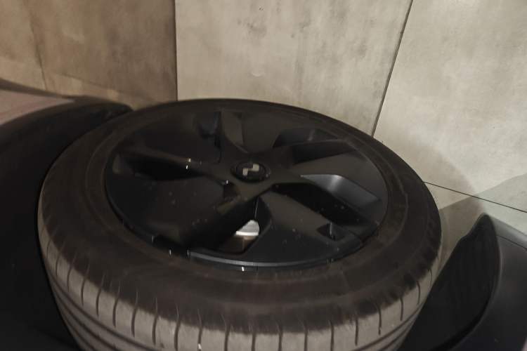 Used ONVO L60 2024 60 kWh Rear-Drive Version