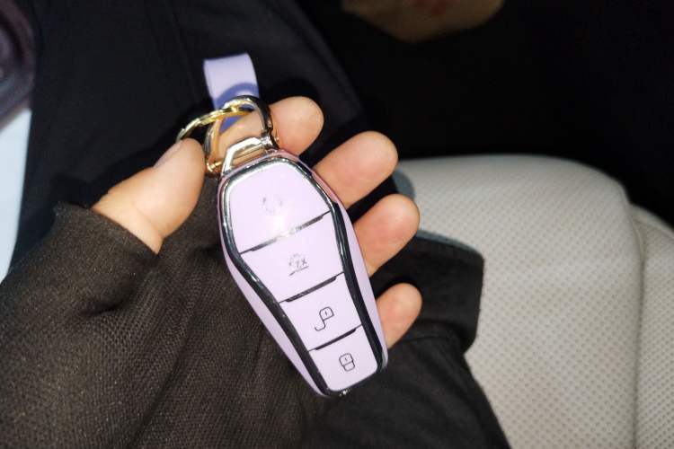 Used BYD Dolphin 2021 405 km Free Version
