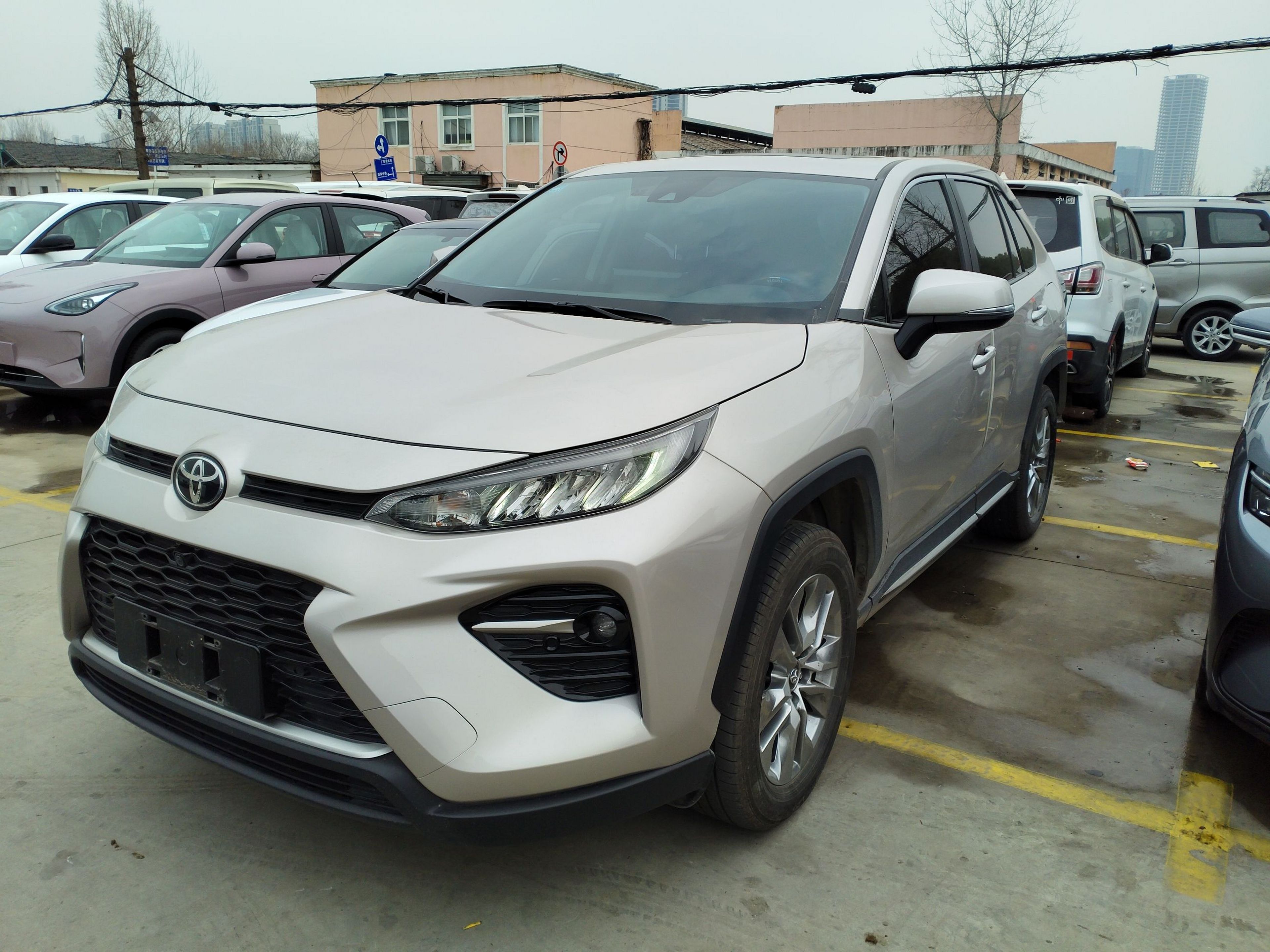 تحت مقدمة السيارة