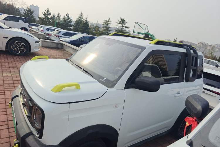 Used  Panda 2025 210km Panda Rider