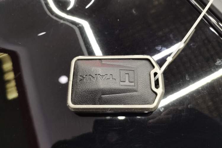 Used Tank 300 2024 2.0T Conqueror