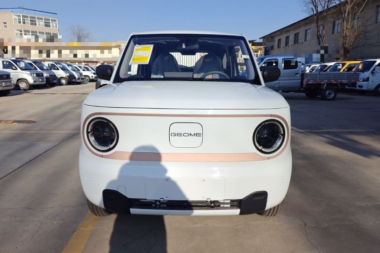 Used  Panda 2024 Panda Mini 200km Endurance Bear