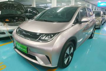 Used BYD Dolphin 2023 420 km Free Version