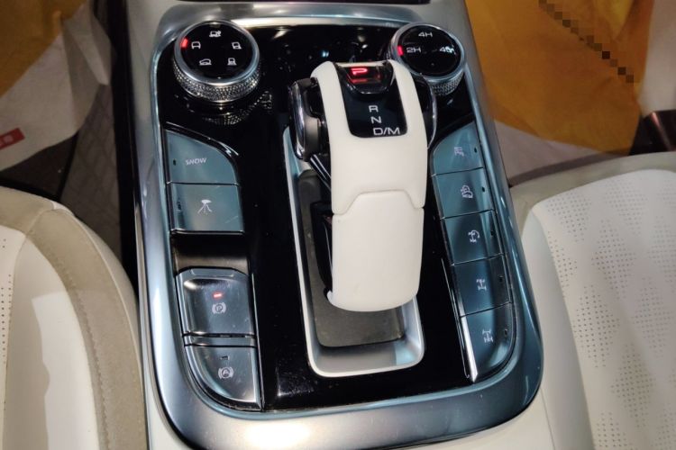 Used  Tank 300 2021 2.0T Cyber Tank
