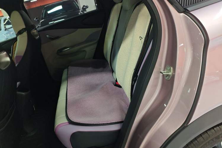 Used BYD Dolphin 2021 401km Knight Edition
