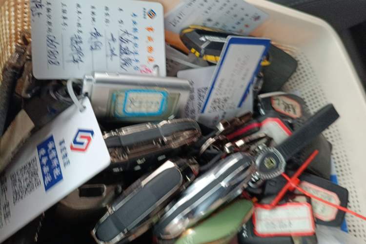 Used  T01 2024 2.0T Explorer
