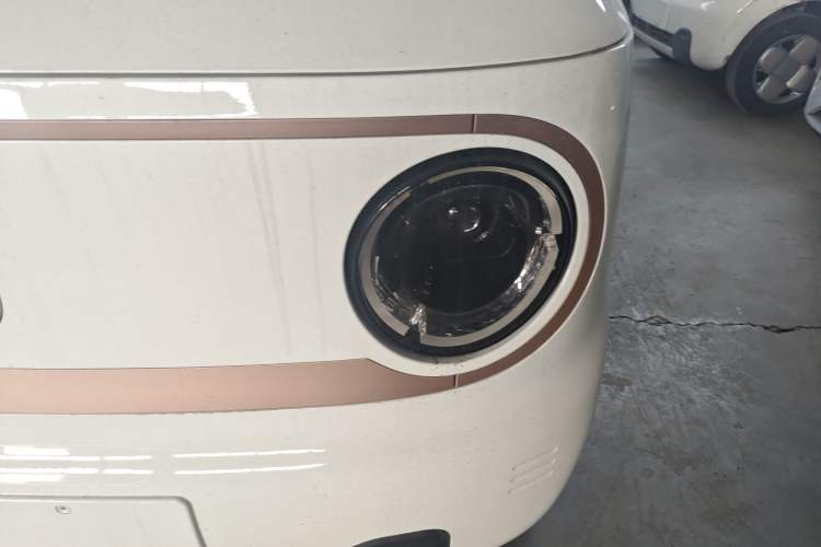 Used  Panda 2024 Panda Mini 200km Endurance Bear
