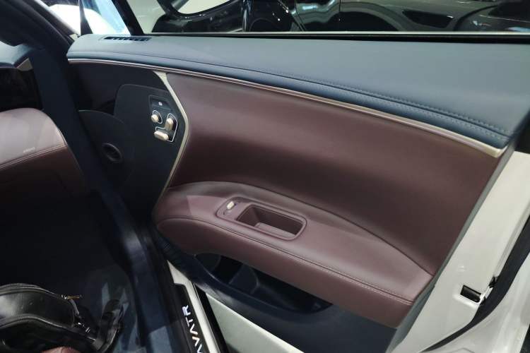 Used  11 2022 Long-Range Dual-Motor Luxury Edition 5 Seats
