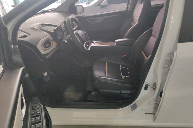 Used SOL E10X 2022 Flower Fairy Design Four-Leaf Clover