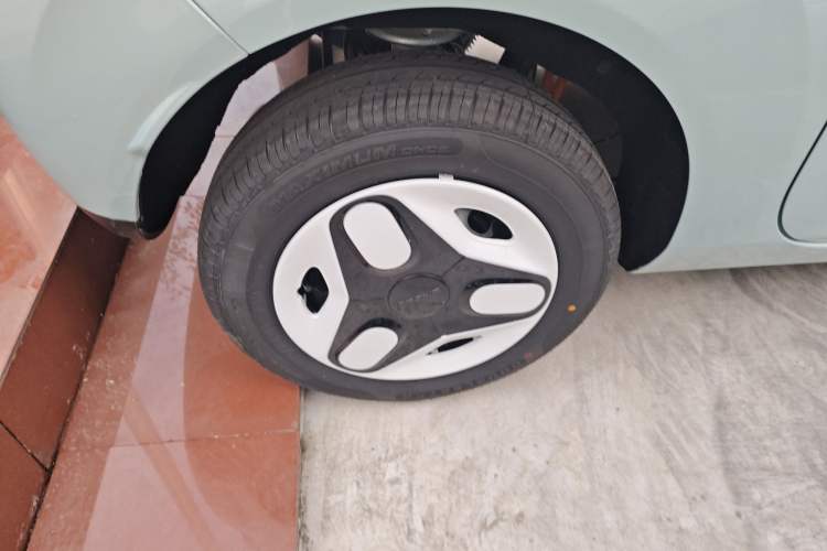 Used  Panda 2025 210 km – Yuanqi Bear
