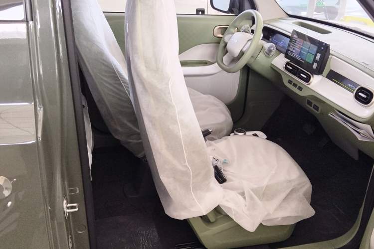 Used  Panda 2025 210km Panda Rider
