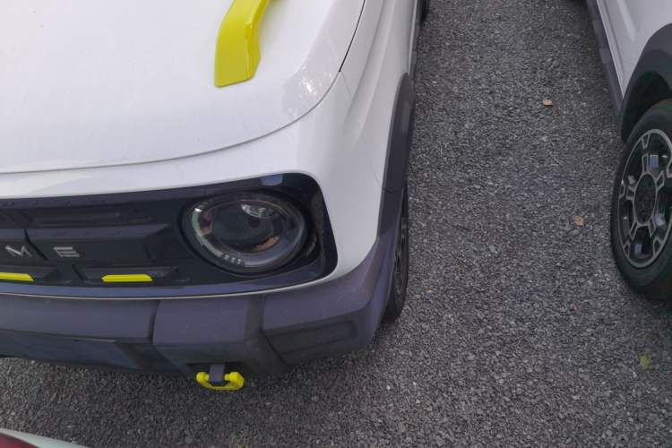 Used  Panda 2025 210km Panda Rider