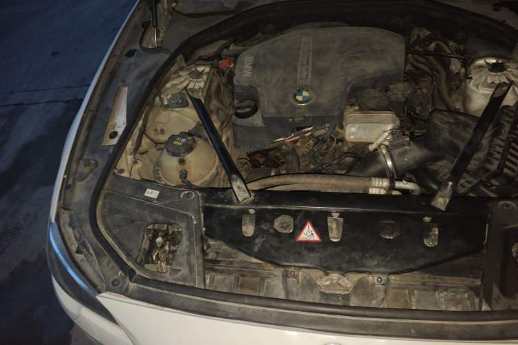 Used BMW 5 Series 2017 525Li Leading Model