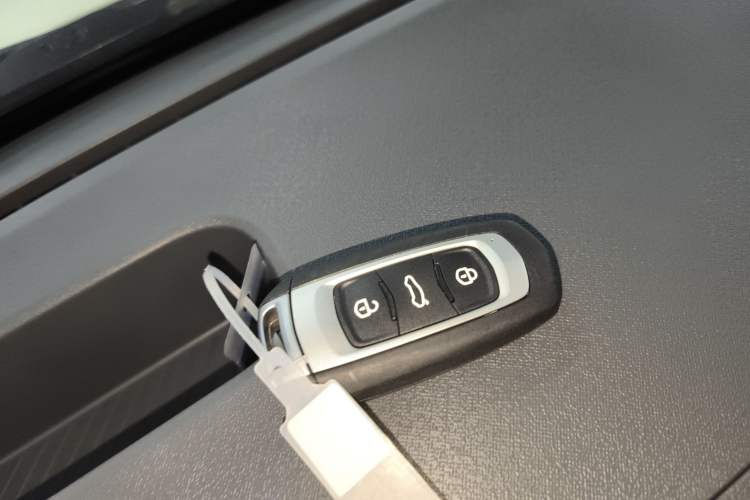 Used  Panda 2025 210 km – Yuanqi Bear
