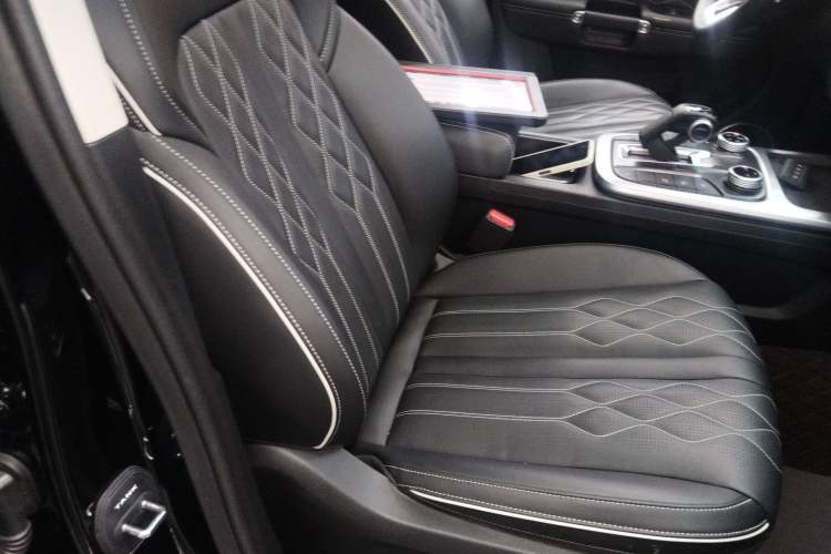 Used Tank 300 2024 2.0T Challenger
