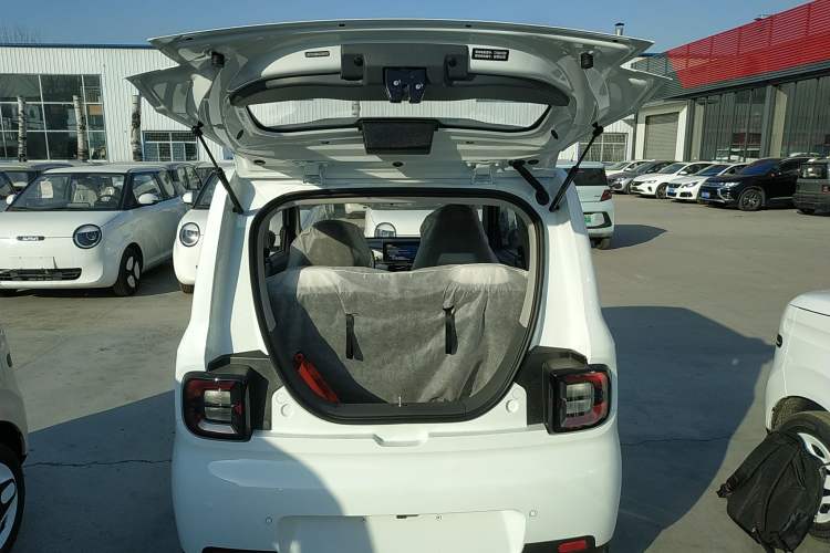 Used  Panda 2025 210 km – Yuanqi Bear
