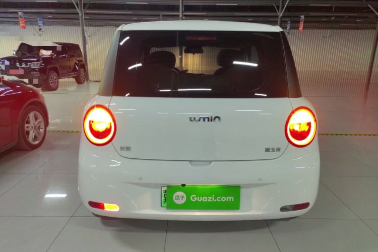 Used  Lumin 2025 205 km Xiangqin Version
