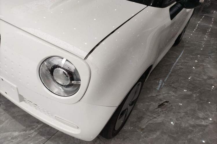 Used ORA Black Cat 2022 Updated Version 301 km Cute Pet Edition Lithium Iron Phosphate
