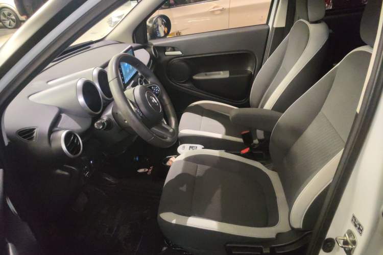 Used ORA Black Cat 2022 Updated Version 301 km Cute Pet Edition Lithium Iron Phosphate