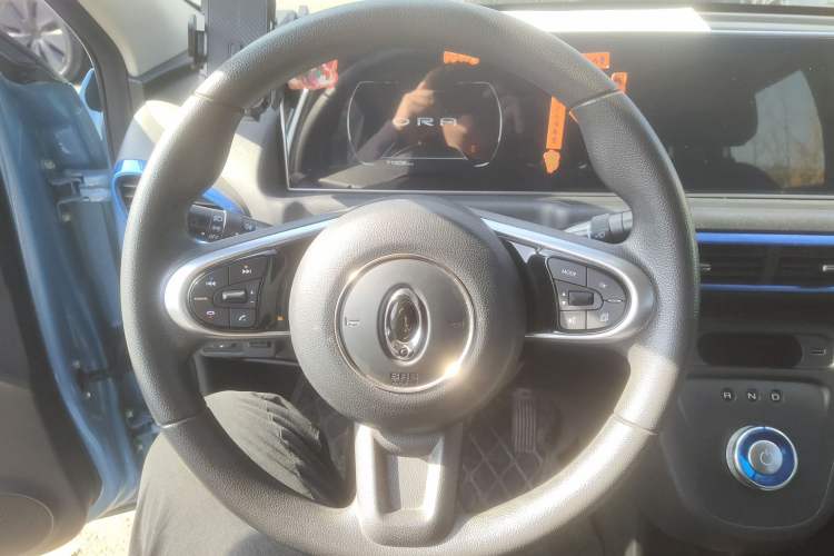 Used ORA White Cat 2020 401 km Flagship Version
