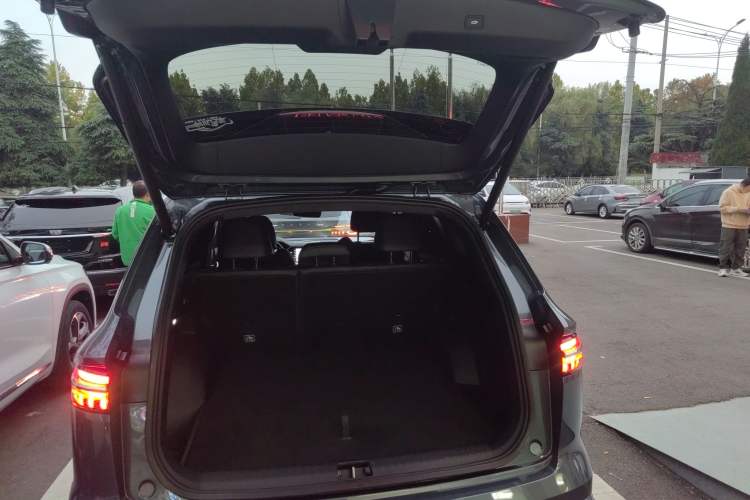 Used Geely Auto Monjaro L 2024 2.0TD High-Power Automatic Two-Wheel Drive Skyline Edition
