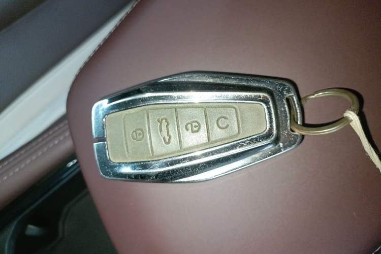 Used Geely Auto Monjaro L 2021 2.0TD DCT EVO Two-Wheel Drive Prestige Version
