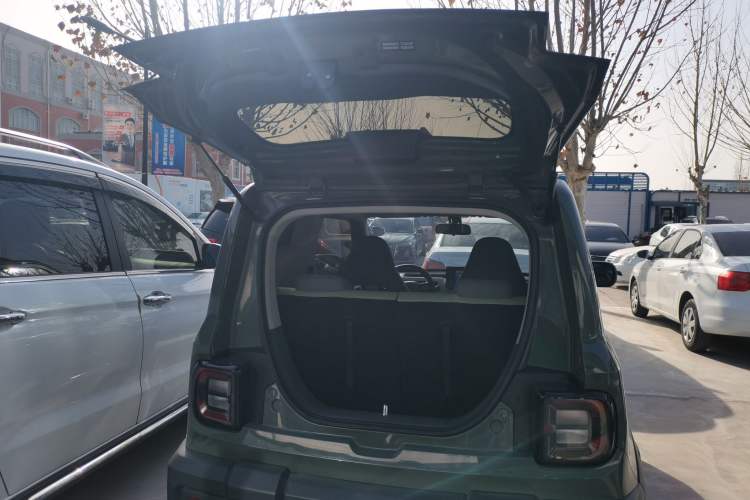 Used  Panda 2024 200km Panda Rider
