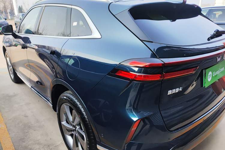 Used Wey Mocha New Energy 2024 Hi4 Four-Wheel Drive Long-Range Version