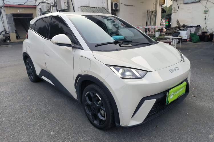 Used BYD Seagull 2025 305 km Free Version
