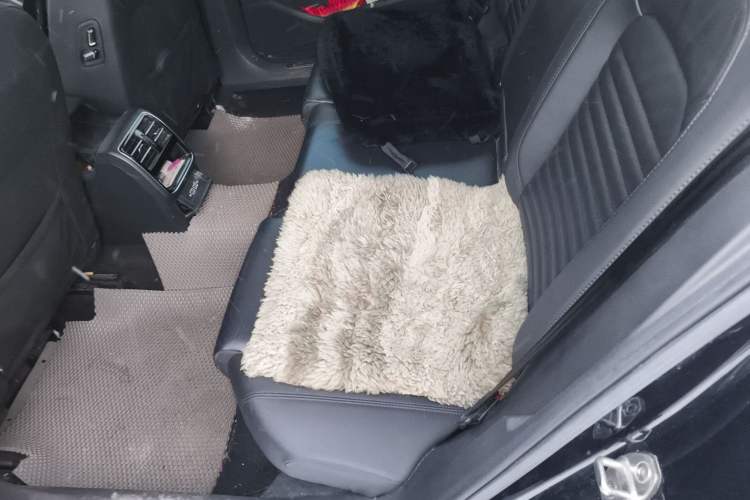 Used Volkswagen Magotan 2019 330TSI DSG Leading Model China VI Standard
