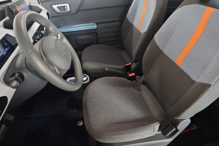 Used  Panda 2024 Panda Mini 200km Endurance Bear