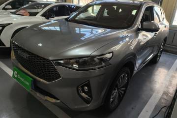 Used Haval F7 2020 2.0T Two-Wheel Drive i-Active