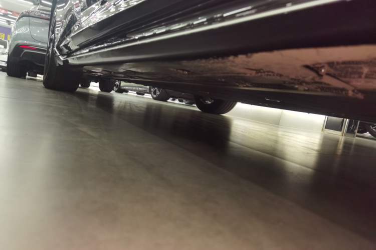 Used  06 2025 Max All-Electric Version
