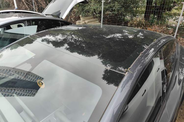 Used Tesla Model Y 2024 Rear-Wheel-Drive Version