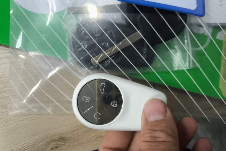 Used  Lingyun 2024 300T Two-Wheel Drive Starlight Edition