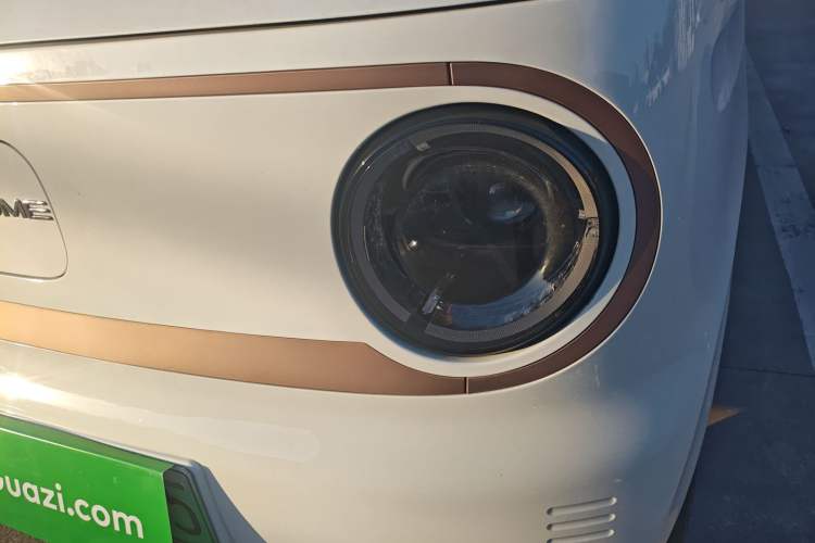 Used  Panda 2024 Panda Mini 200km Longteng PRO Edition
