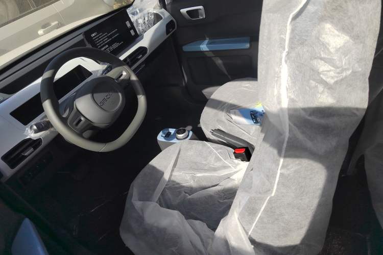 Used  Panda 2024 Panda Mini 200km Endurance Bear
