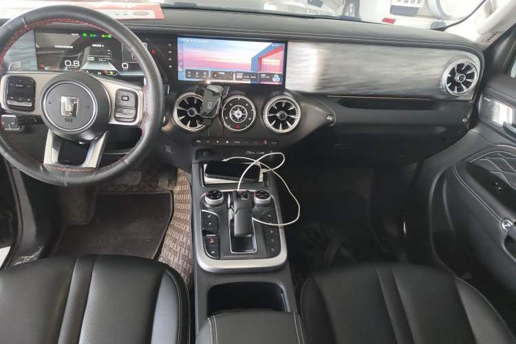 Used Tank 300 2024 2.0T Conqueror