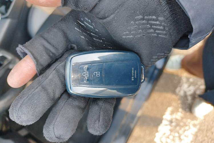 Used Toyota Wildlander 2020 2.0L CVT Two-Wheel Drive Luxury Edition
