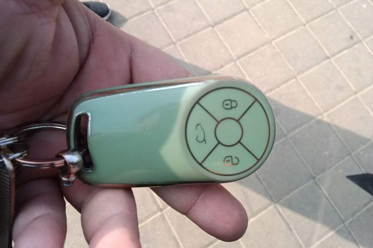 Used ORA Good Cat 2022 Morandi Edition 400km Standard Range Premium Version Lithium Iron Phosphate