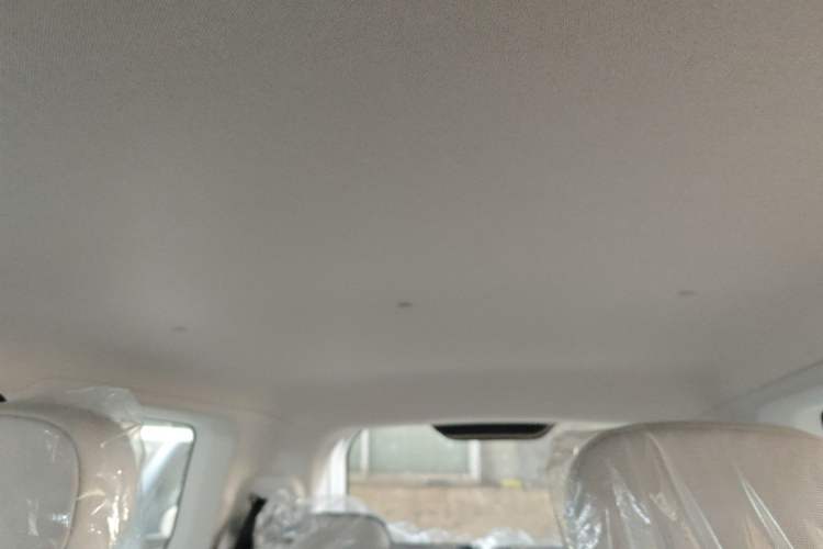 Used  Lumin 2024 130km Qingyue Version
