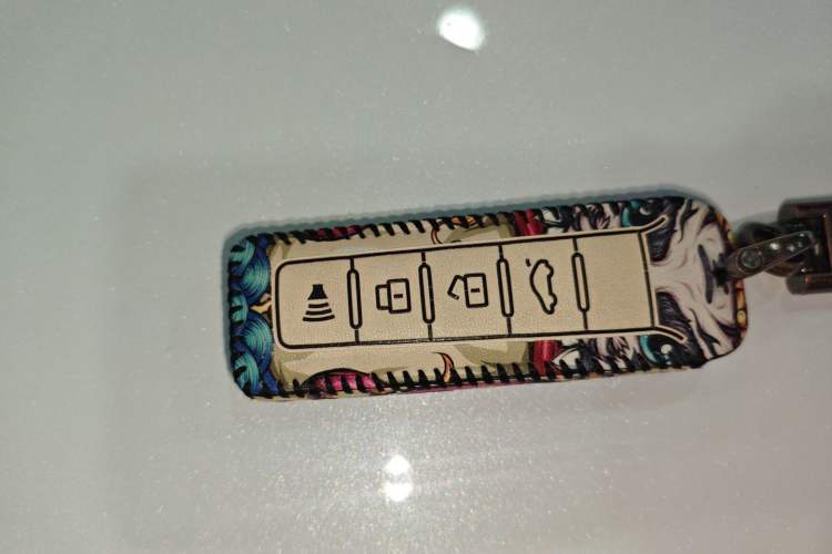 Used Wey VV5 2019 Upgraded Model 2.0T Two-Wheel Drive Ultra-Luxury Version China V Standard
