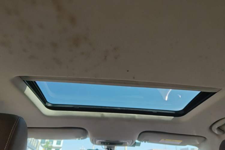 Used Buick Regal 2019 20T Elite Version China V Standard
