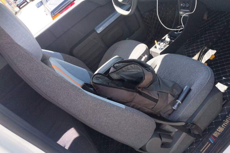 Used  Panda 2023 Panda Mini 200km Endurance Bear
