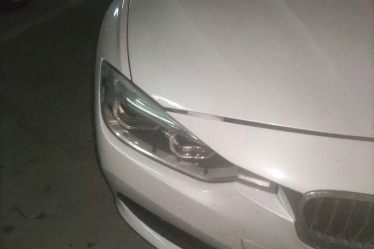 Used BMW 3 Series 2017 318i Fashion Model
