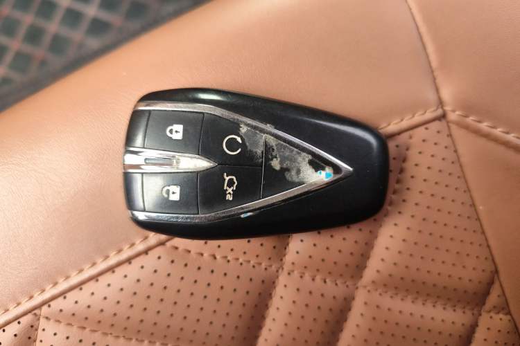 Used  A05 2024 145 Max
