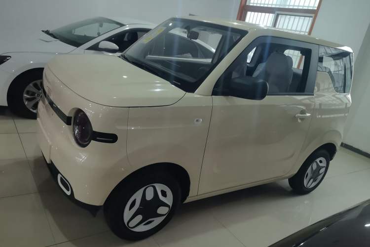 Used  Panda 2025 210 km – Yuanqi Bear
