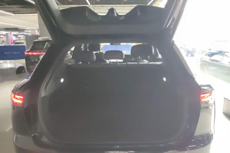 Used VOYAH COURAGE 2024 Four-Wheel Drive Global Edition
