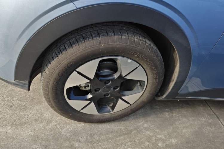 Used  Geome 2025 310km Dream Edition
