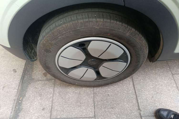 Used  Geome 2025 310km Youth Edition